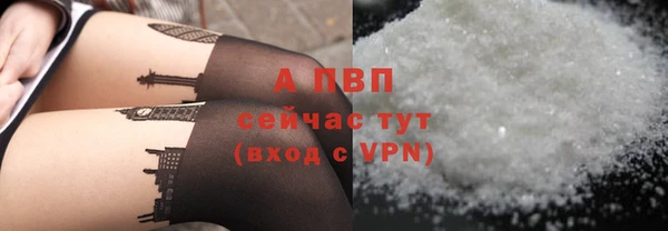 твердый Алексин