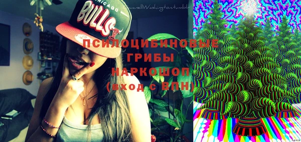 твердый Алексин
