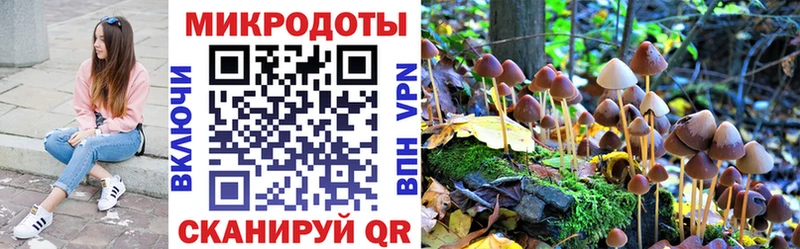 MEGA tor  Южно-Сахалинск  Псилоцибиновые грибы ЛСД 