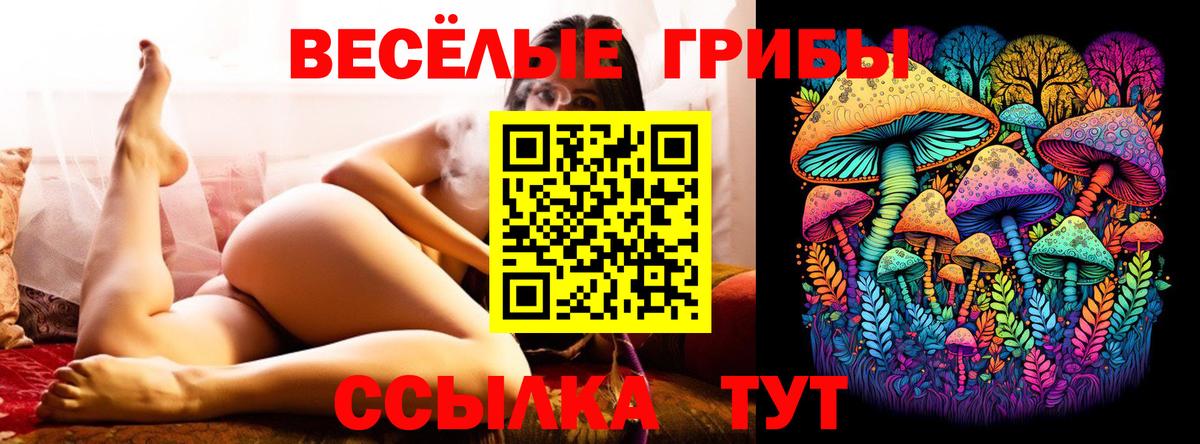 Галлюциногенные грибы GOLDEN TEACHER Южно-Сахалинск